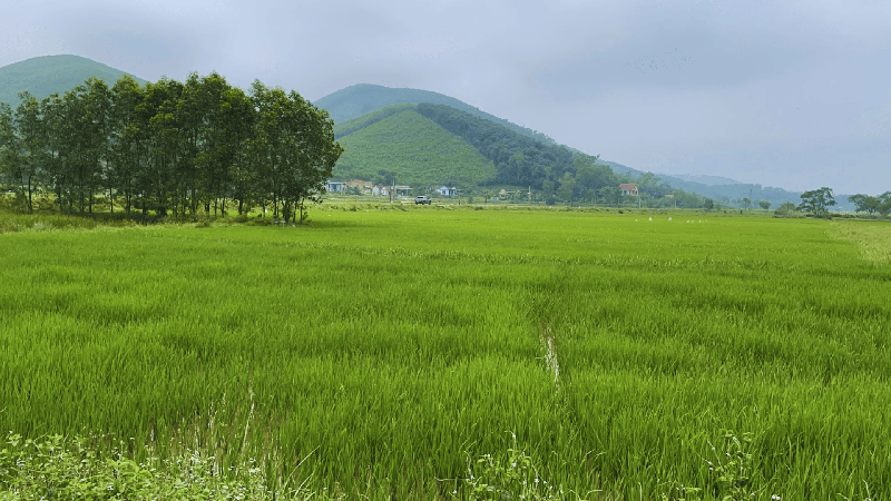 Đạp Xe Ngắm Hoàng Hôn Phong Nha (6)